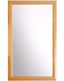 Зеркало навесное в багете Катаро-1 1000х600х20 вишня "Зеркала" ТК-002561000876 бордовый - Фото предпросмотра